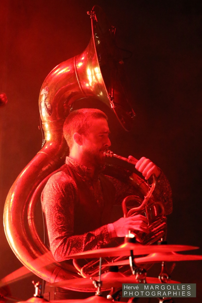 0V8A3177.JPG