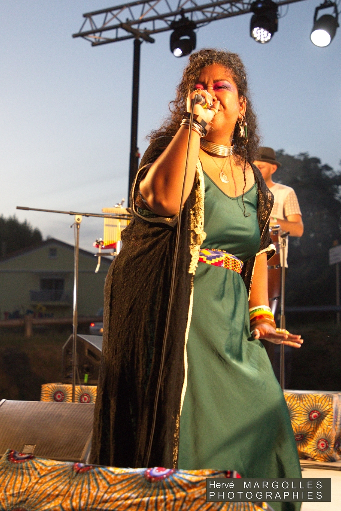 IMG_8867.jpg