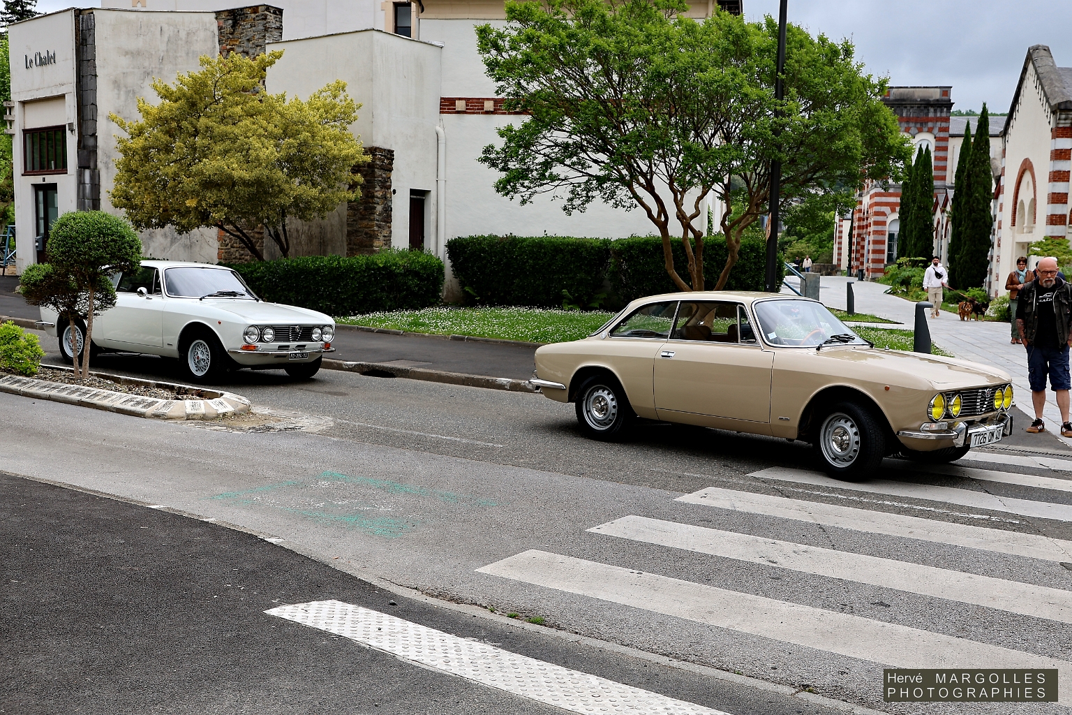 Alfa_Romeo-Giulia.jpg