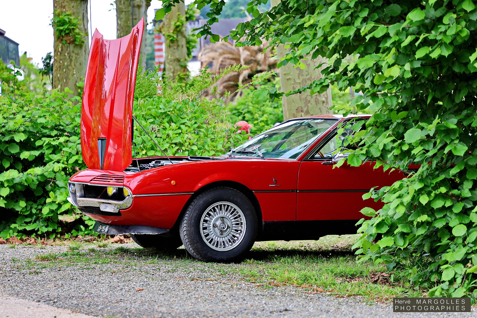 Alfa_Romeo-Montreal-03.jpg