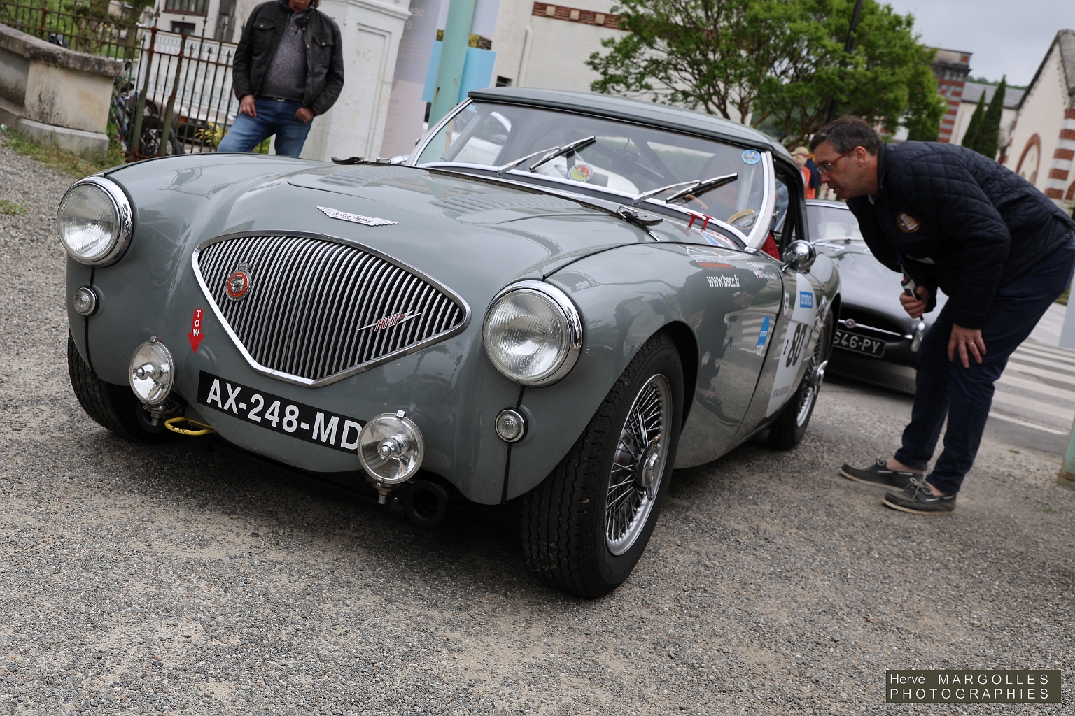 Austin-Healey-100-01.jpg