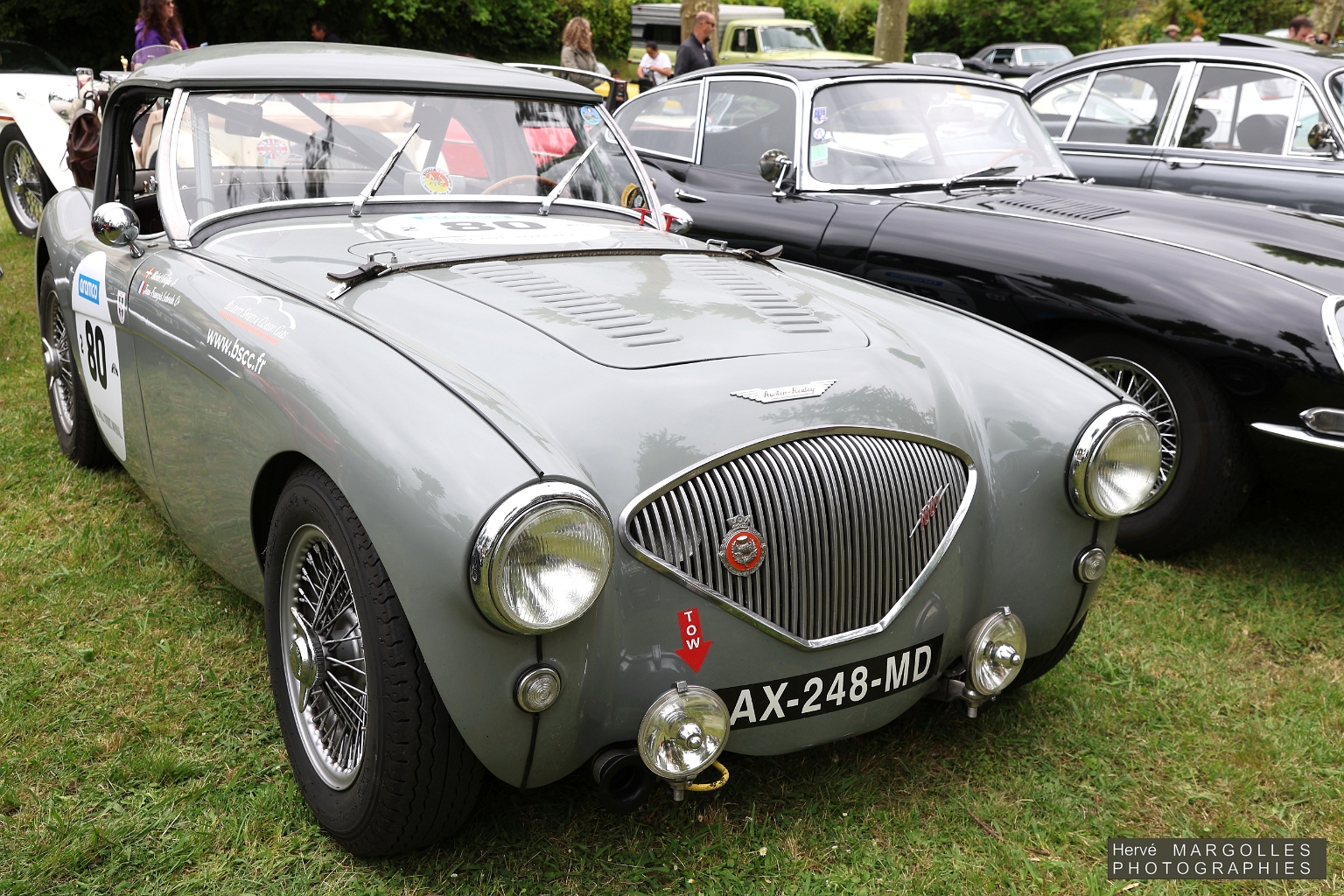 Austin-Healey-100-02.jpg