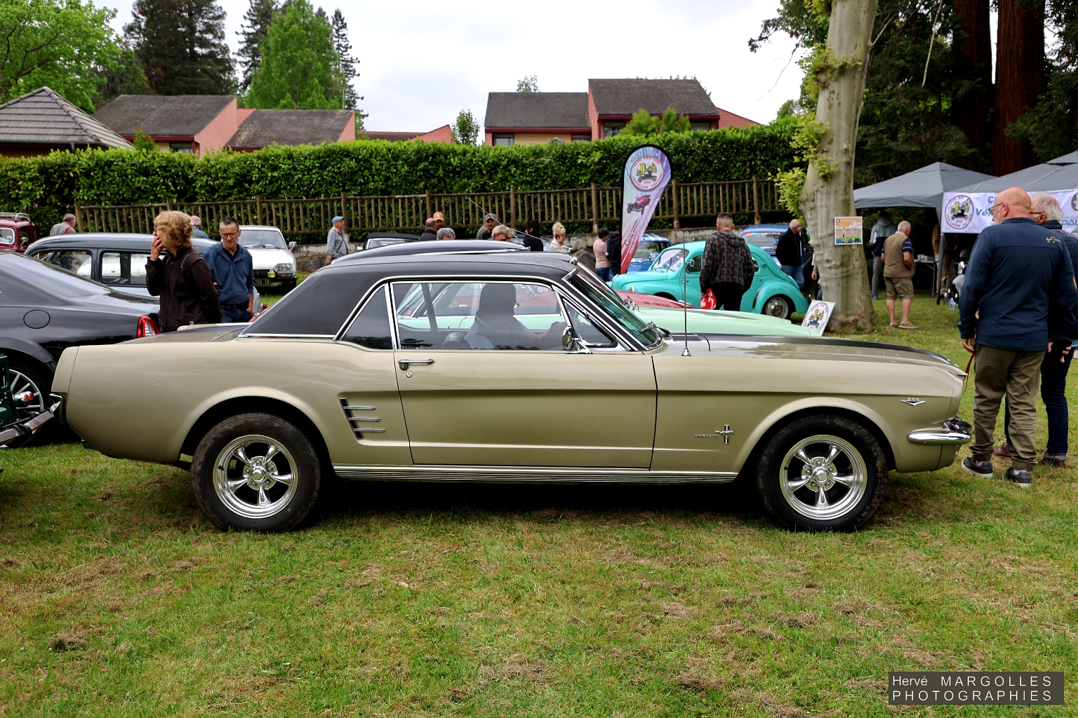 Ford-Mustang-01.jpg