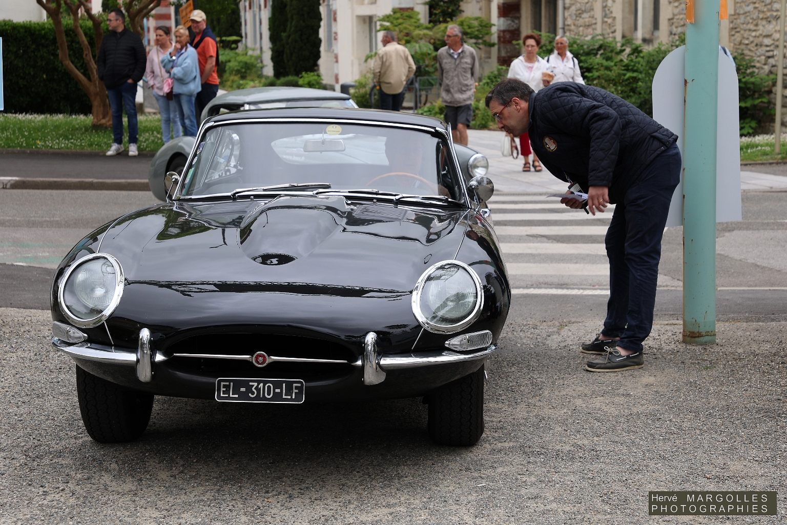 Jaguar-Type_E-03.jpg