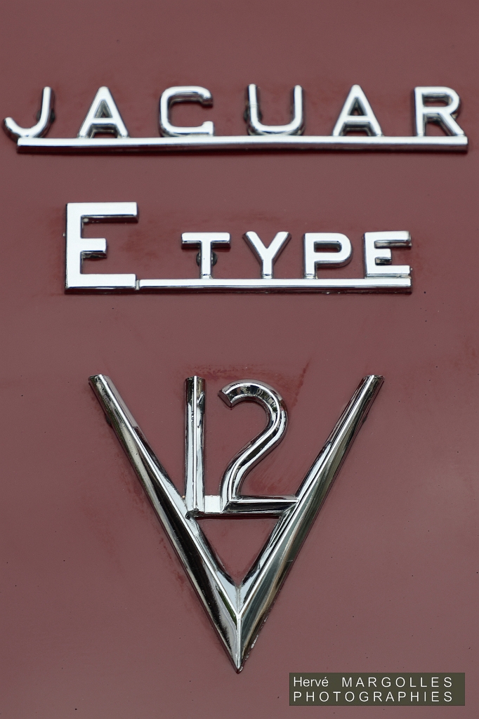 Jaguar-Type_E_V12-02.jpg