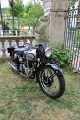 Norton