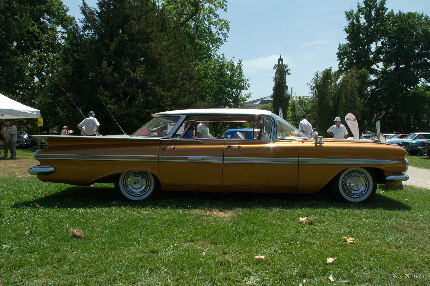 Impala.jpg