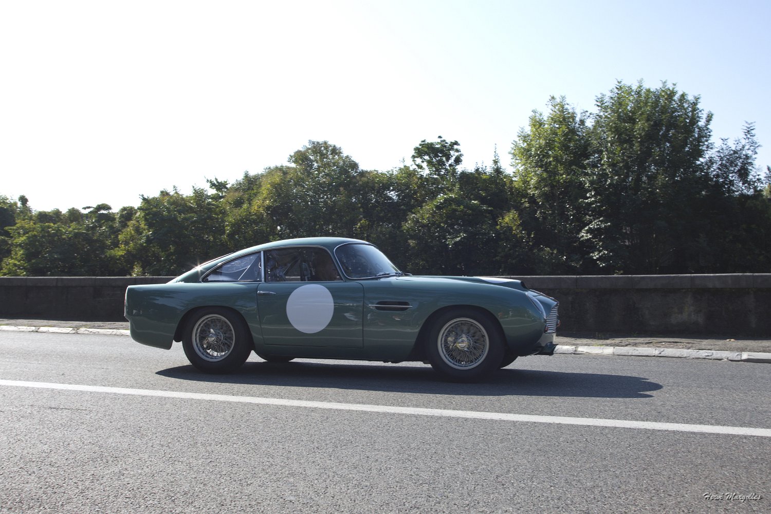 _MG_9810.jpg