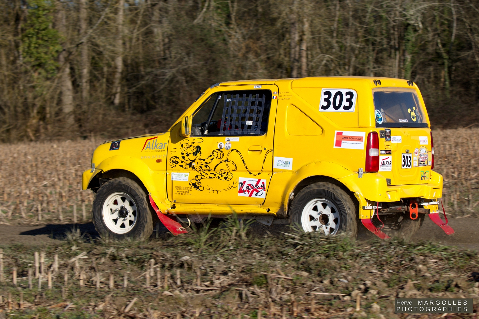 303-01.jpg