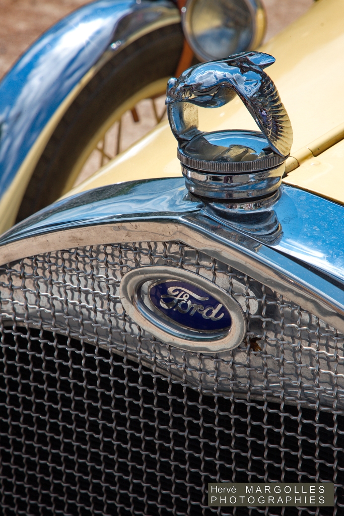 _DS_8751.jpg