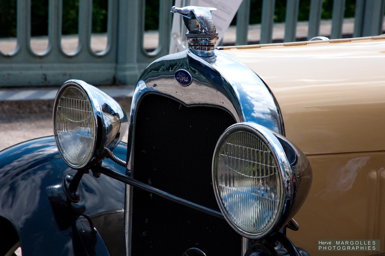 _DS_8754.jpg