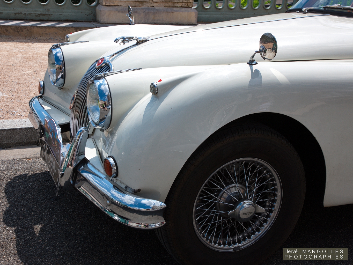 _DS_8758.jpg