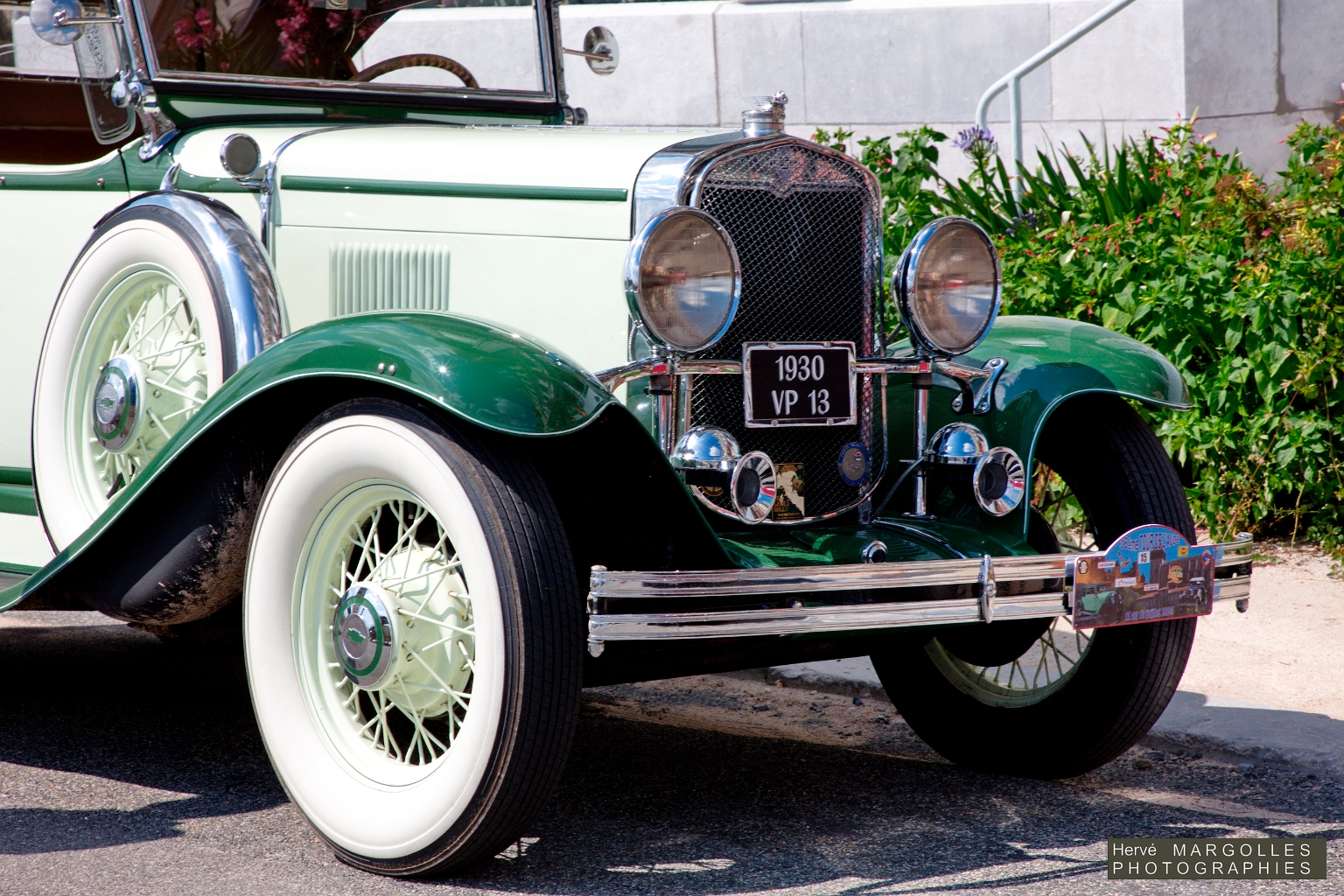 _DS_8782.jpg