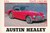 N&deg;40: Austin Healey