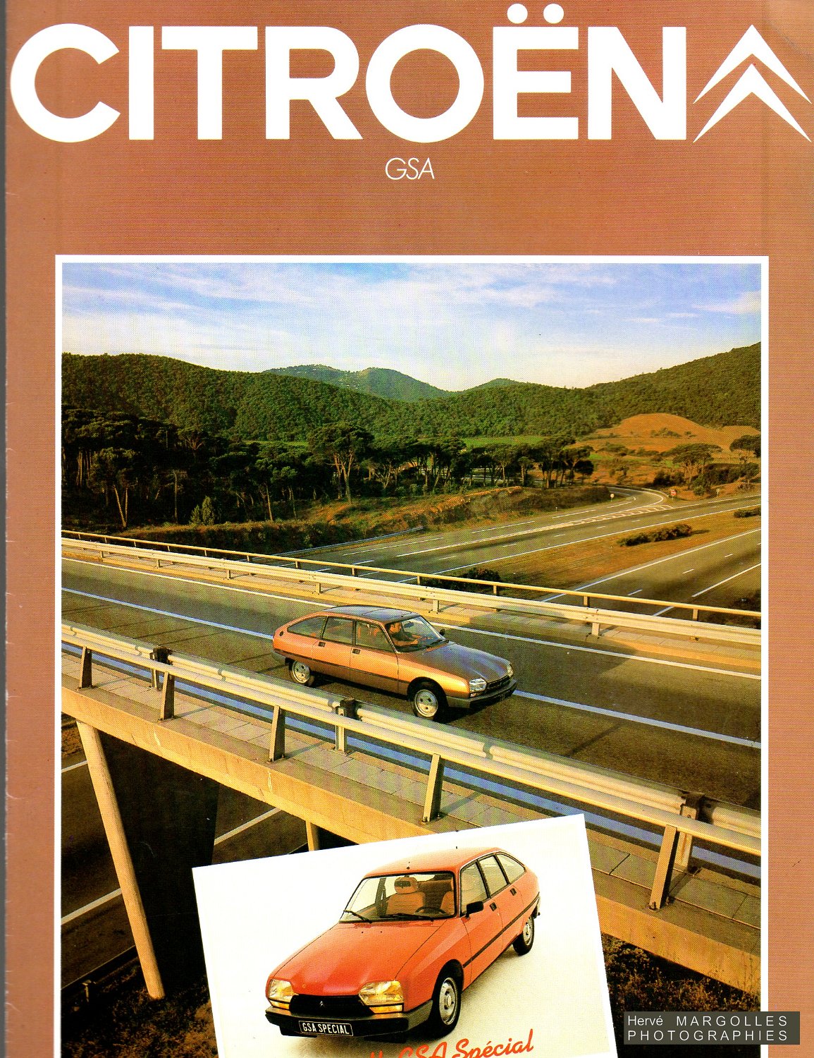 Citroen-GSA.jpg