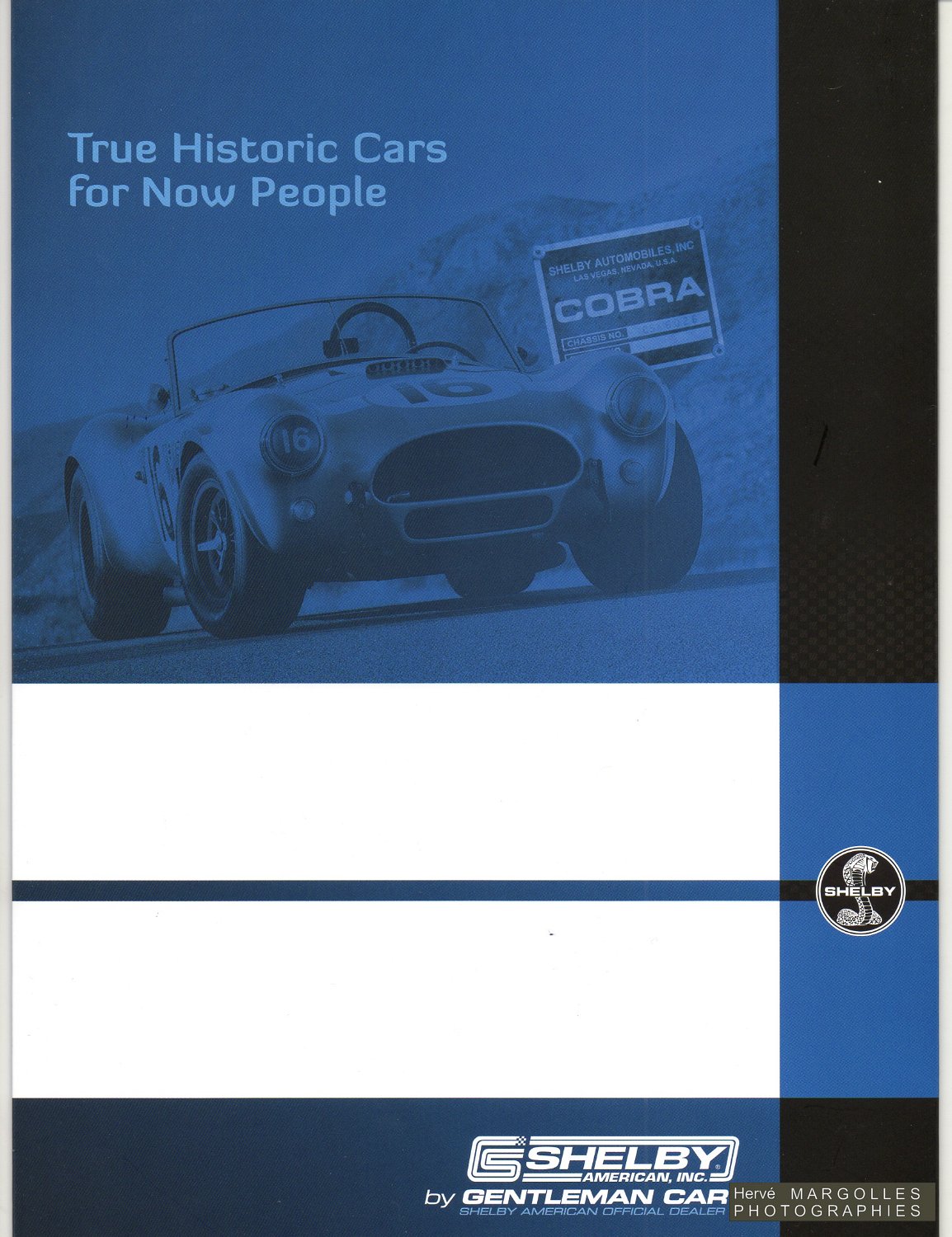 SHELBY-2019.jpg