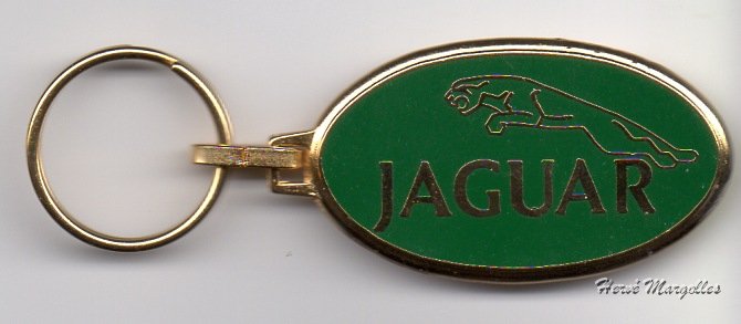 Jaguar003.jpg