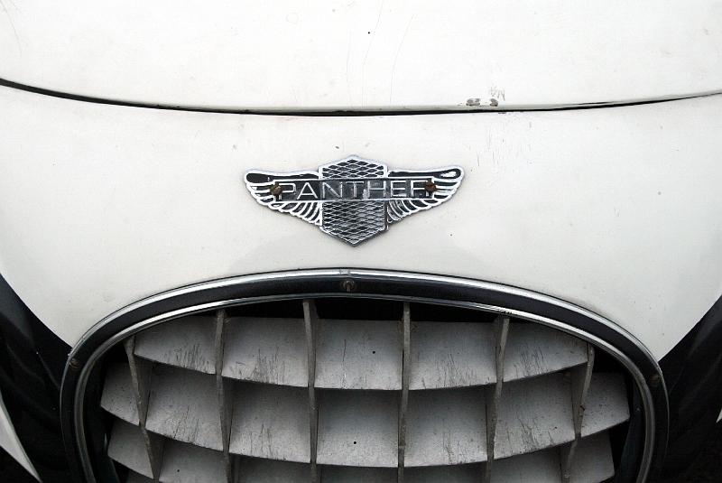 B45D0200.JPG - Panther Lima