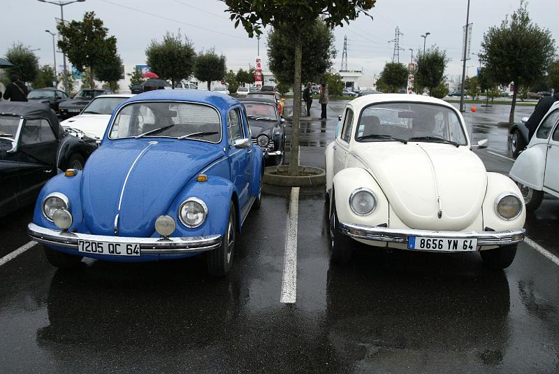 B45D4802.JPG - Cox Bleue, Cox blenche, mais ou est la rouge?