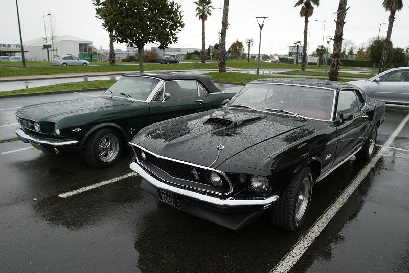 B45D4805.JPG - Toujours de belles Mustang