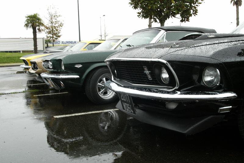 B45D4819.JPG - Toujours de belles Mustang...en nombre