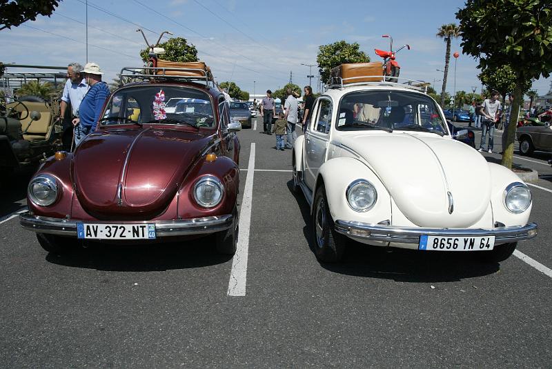 B45D0041.JPG - puis 2 cox prêtes pour las vacances