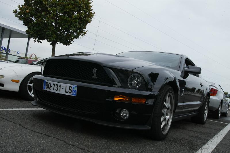 B45D0013.JPG - Ford Mustang Shelby