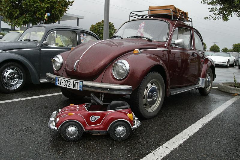 B45D0010.JPG - Ce n'est pls le pintemps mais pourtant les Cox font des petits.