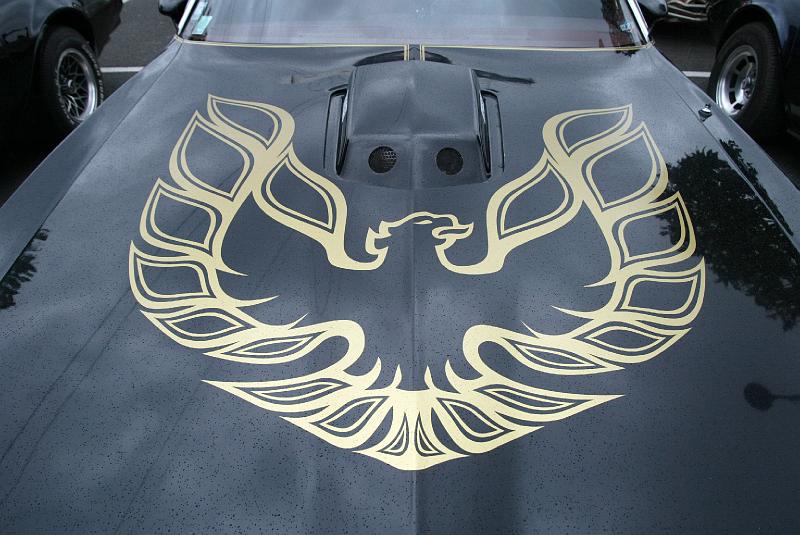 B45D0017.jpg - Pontiac Firebird