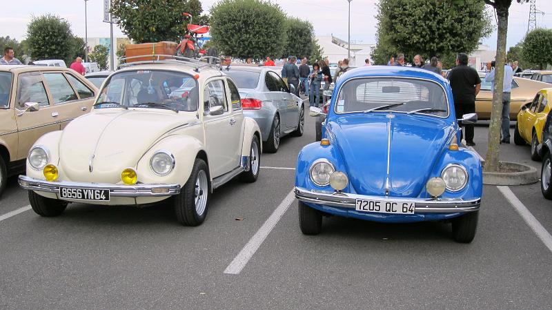 IMG_0353.jpg - une paire de Cox