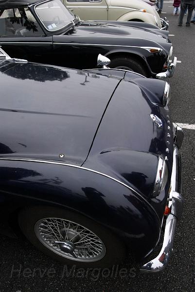 B45D0035.jpg - Triumph TR3 et TR4