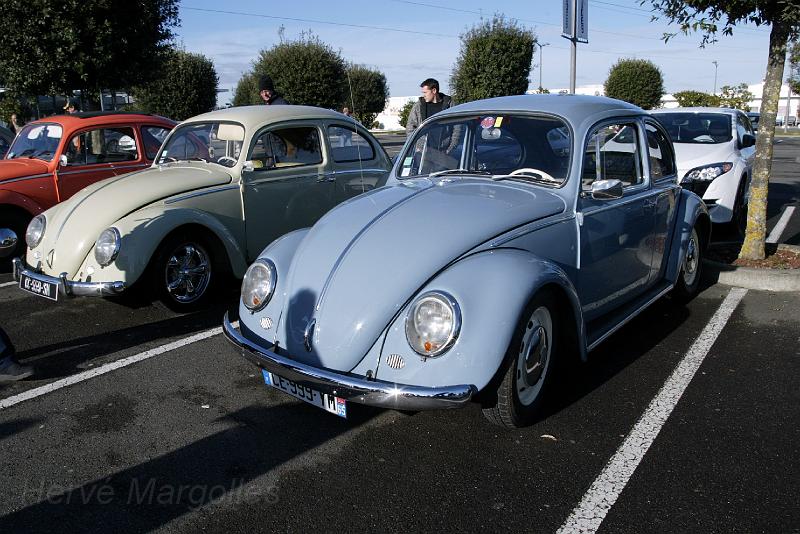 volkswagen-02.jpg - Volkswagen Coccinelle
