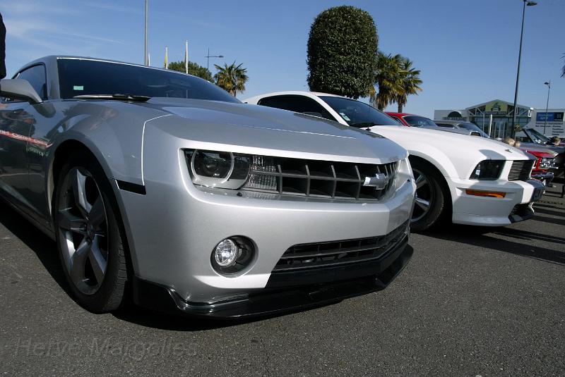 B45D0042.jpg - les deux concurantes: Chevrolet Camaro et Ford Mustang (Shelby)