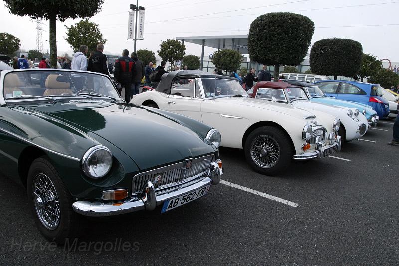 B45D0285.jpg - Toujours de très belles anglaises