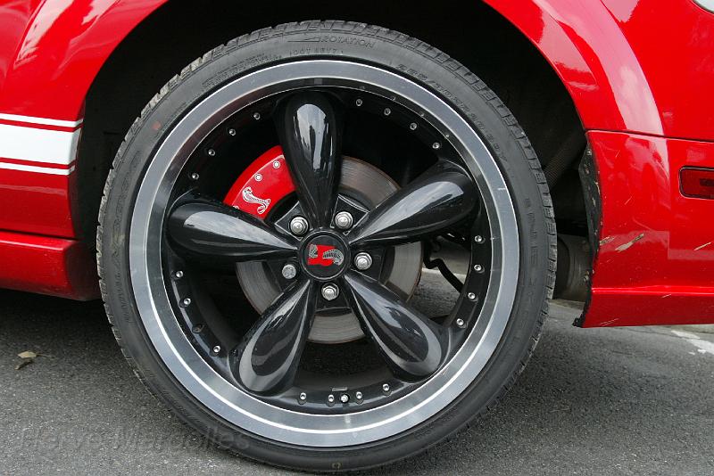 B45D0292.jpg - Ford Mustang Shelby: Shelby jusqu'au centre des roues...
