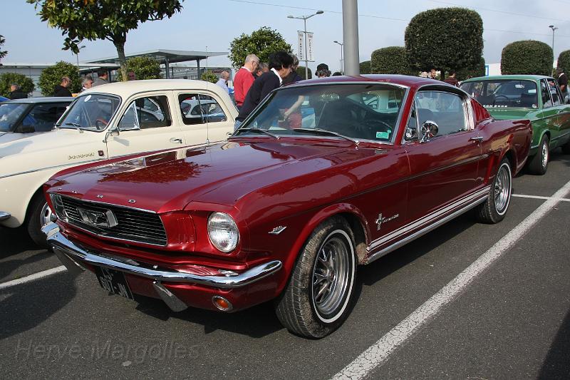 IMG_0011.JPG - Ford Mustang: