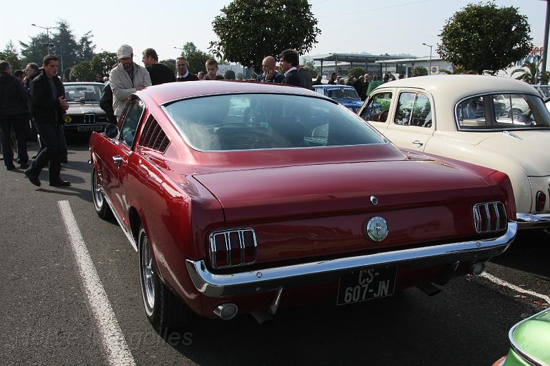 IMG_0013.JPG - Ford Mustang:
