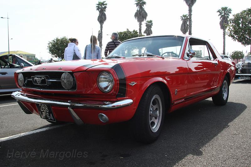 IMG_0015.JPG - Ford Mustang: