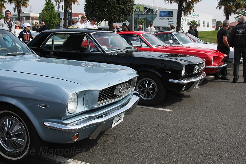 IMG_0041.JPG - d'autres Ford Mustang