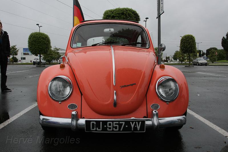 IMG_2661.JPG - Et pleins de Cox
