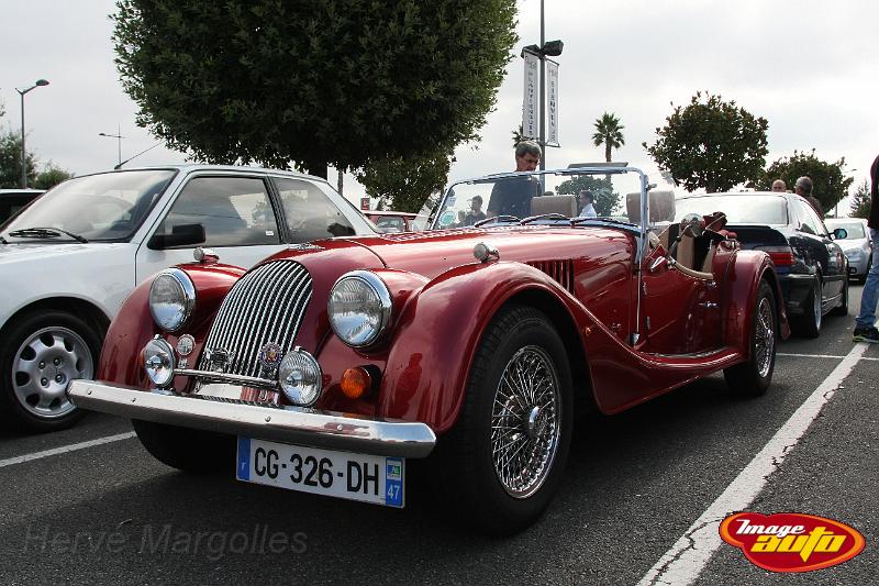 IMG_3145.JPG - Morgan