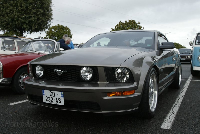 B45D0094.JPG - Mustang