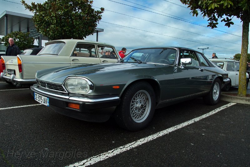 B45D0174b.jpg - Jaguar XJS