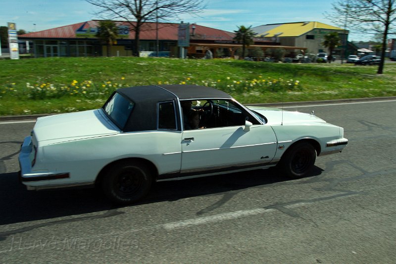 B45D0281-b.jpg