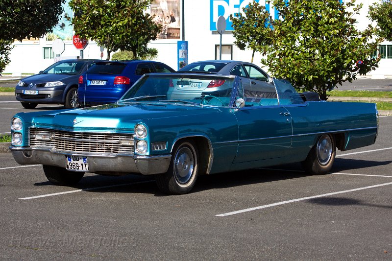 IMG_4851-b.jpg