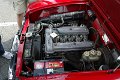 Alfa-Romeo-Nuova-01