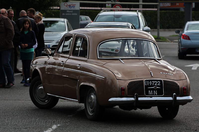 IMG_1954-B.JPG