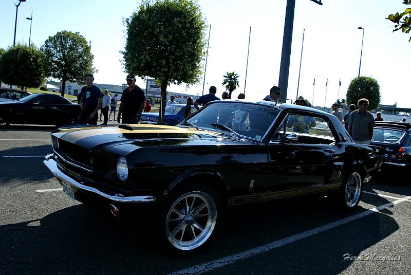 350-GT-03.JPG