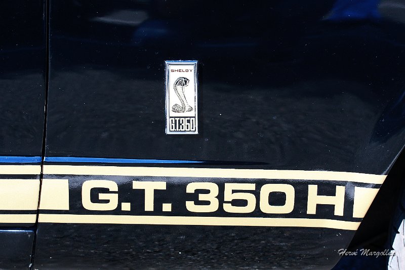 350-GT-04.JPG