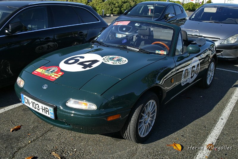 B45D0769.JPG